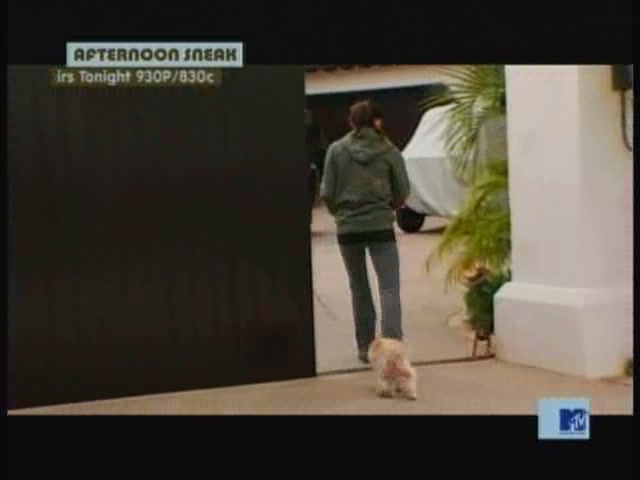 DailyDuff-dot-nl_MTVsThisIsNow1994.jpg DailyDuff-dot-nl_MTVsThisIsNow1994.jpg