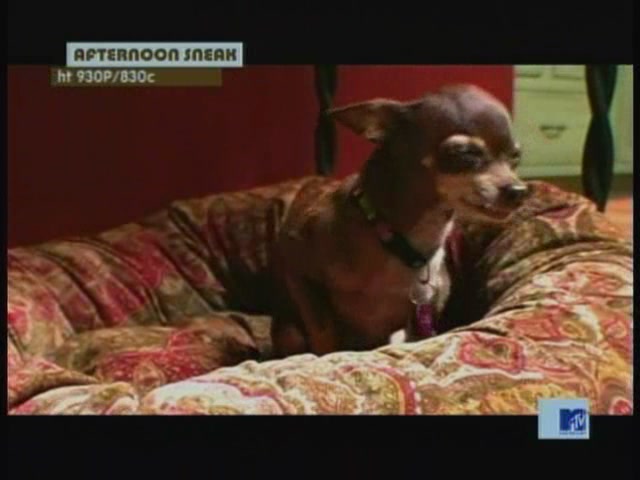 DailyDuff-dot-nl_MTVsThisIsNow2041.jpg DailyDuff-dot-nl_MTVsThisIsNow2041.jpg