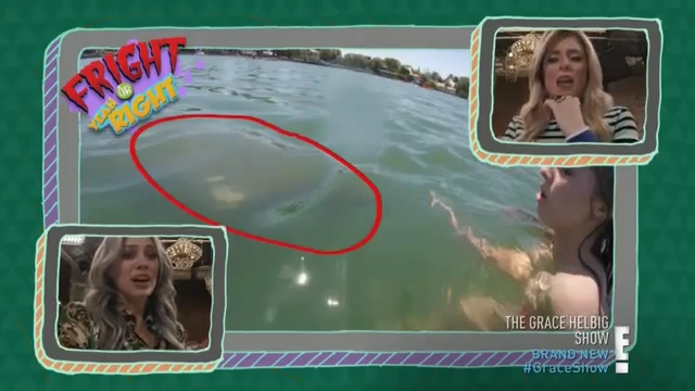 DailyDuff-dot-nl_TheGraceHelbigShow0371.jpg DailyDuff-dot-nl_TheGraceHelbigShow0371.jpg