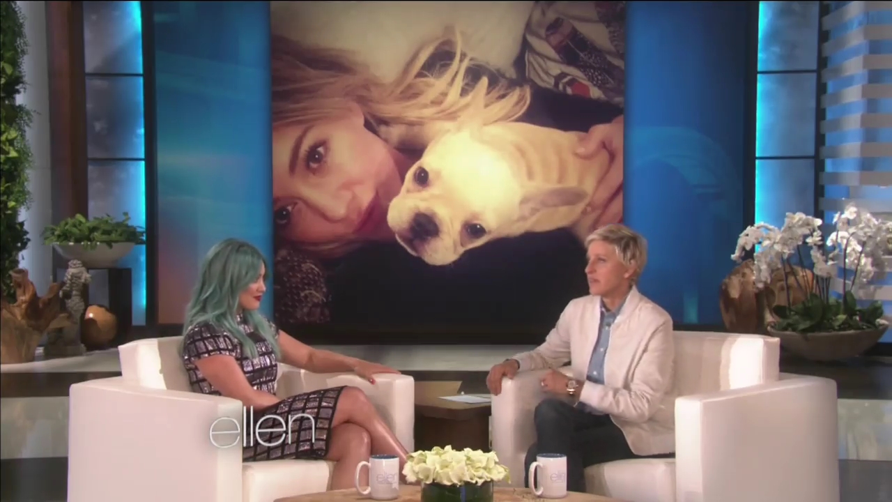 DailyDuff-dot-nl_2015Ellen0148.jpg DailyDuff-dot-nl_2015Ellen0148.jpg