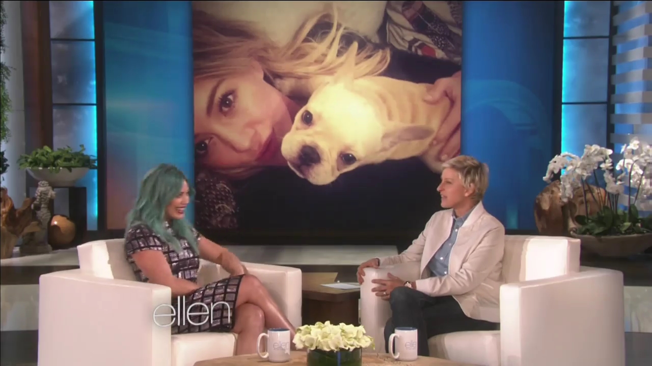 DailyDuff-dot-nl_2015Ellen0158.jpg DailyDuff-dot-nl_2015Ellen0158.jpg