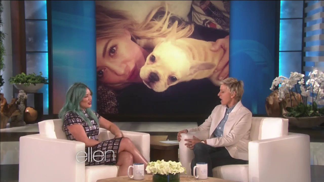 DailyDuff-dot-nl_2015Ellen0159.jpg DailyDuff-dot-nl_2015Ellen0159.jpg