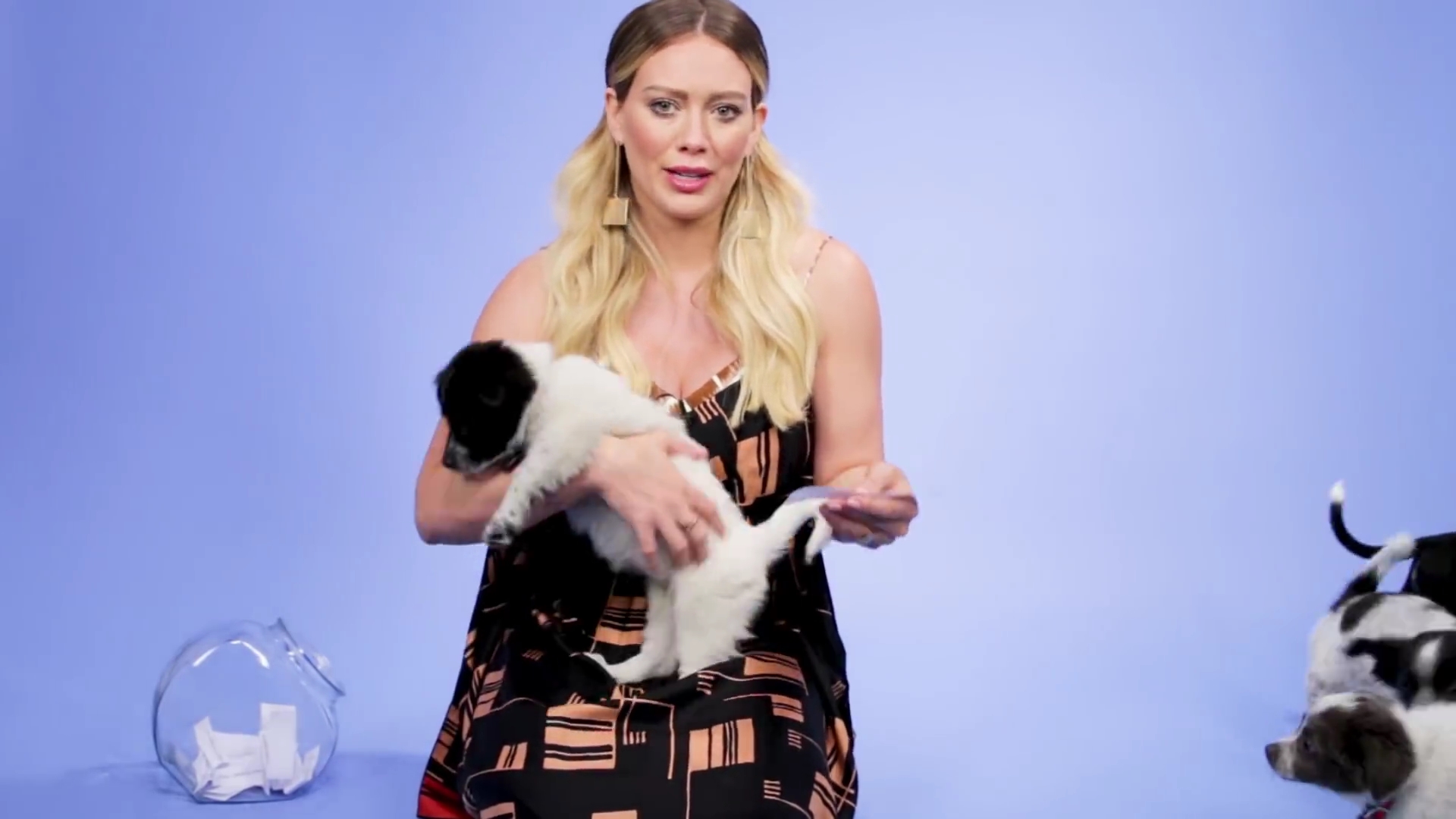 DailyDuff-dot-nl_2018Buzzfeed0031.jpg DailyDuff-dot-nl_2018Buzzfeed0031.jpg