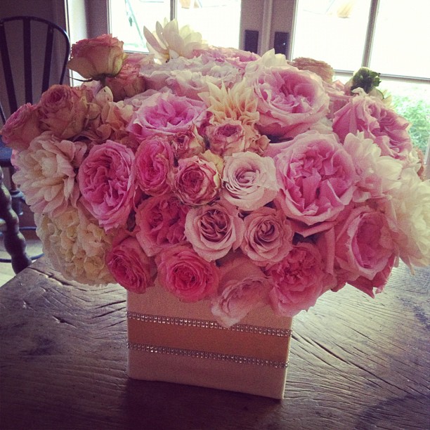 28 september: beautiful birthday flowers from ma petit amie @leahmillergreen!
 28 september: beautiful birthday flowers from ma petit amie @leahmillergreen!