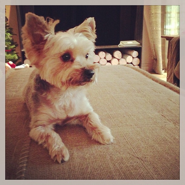 17 december: Jak. Is.one.handsome.stuuuuud..
