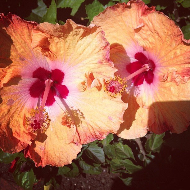 28 februari:
 28 februari: