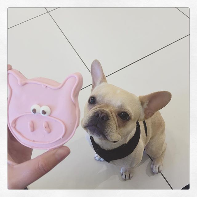 04 augustus: #beau 🐷
