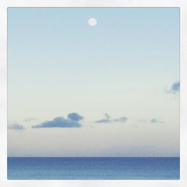 31 augustus: Good morning moon
