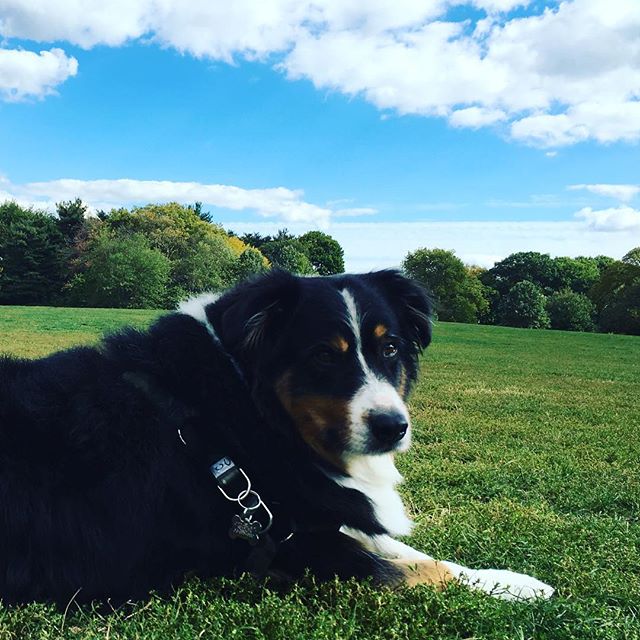 16 oktober: Pure glamour.
