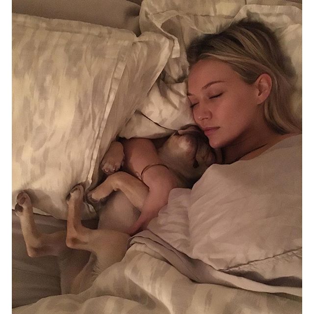 2 december: Zzzzzzzzz 👸🏼🐶Zzzzzzzz
