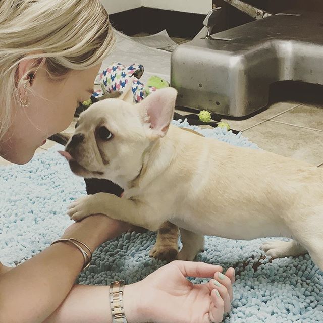03 maart: I met my sweet baby beau's sister today❤️ I think she's asking to come home wif me 🐶🏡
