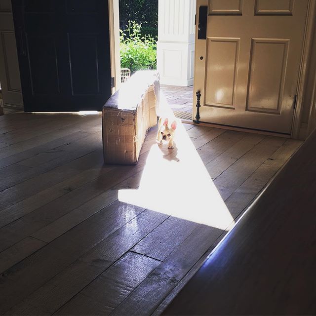 17 maart: That box ain't for you peach

