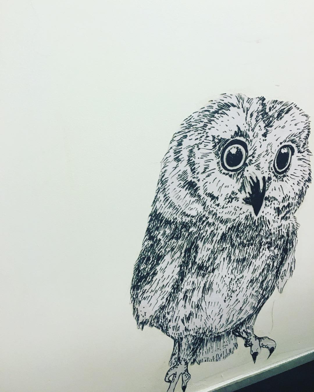 18 augustus: Can I get a hoot hoot

