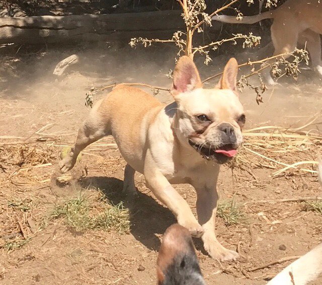 03 november: This girl just kickin up dust 🍑
