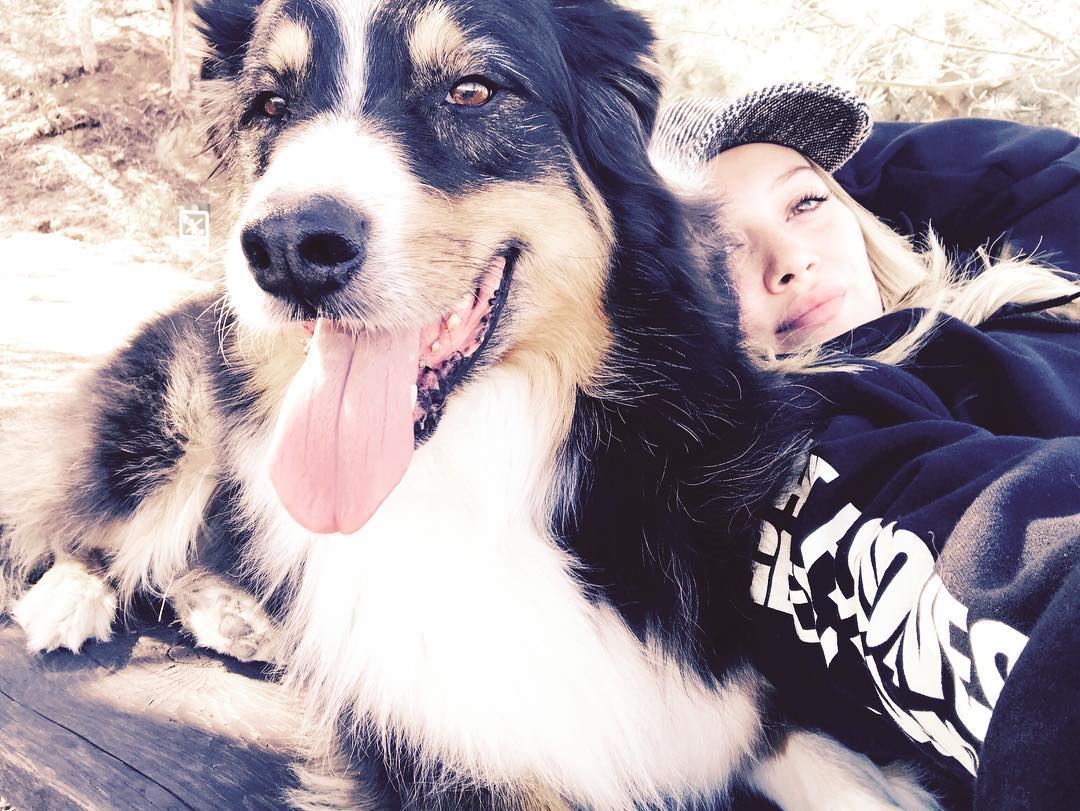 18 november: What would we do with out dogs???
