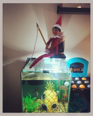 11 december: Our elf jimmy is really utilizing every thing our house has to offer
