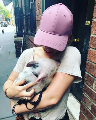 20 mei: Oh my god I snuggled a 🐷 on the street today ❤️ giblet
