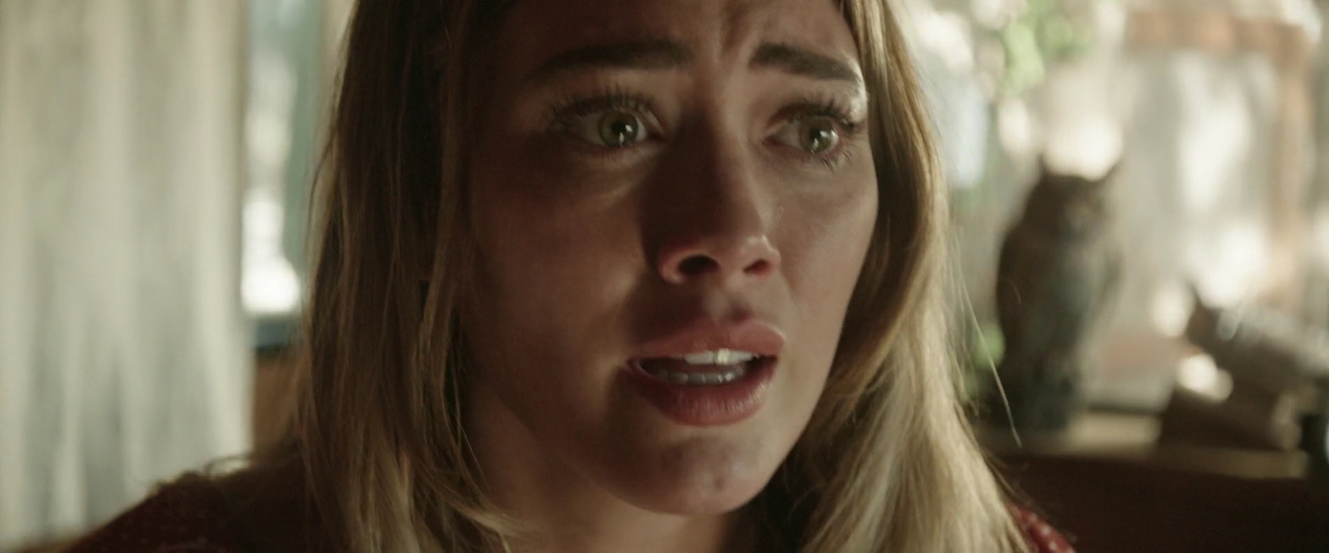 DailyDuff-dot-nl_TheHauntingOfSharonTate3388.jpg DailyDuff-dot-nl_TheHauntingOfSharonTate3388.jpg