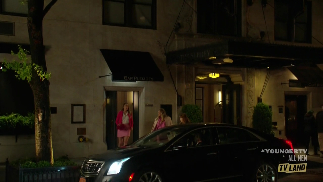 DailyDuff-dot-NL_Younger4x04InThePink0615.jpg DailyDuff-dot-NL_Younger4x04InThePink0615.jpg