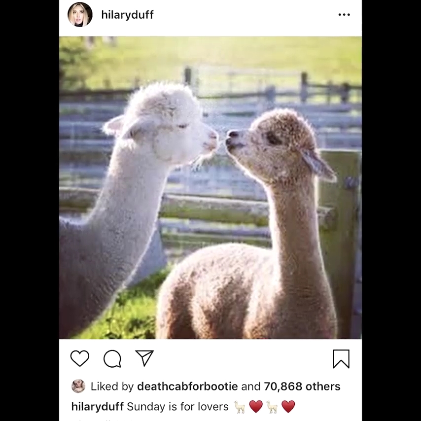 DailyDuff-dot-nl_YoungerS6-HilaryLovesAlpacas0027.jpg