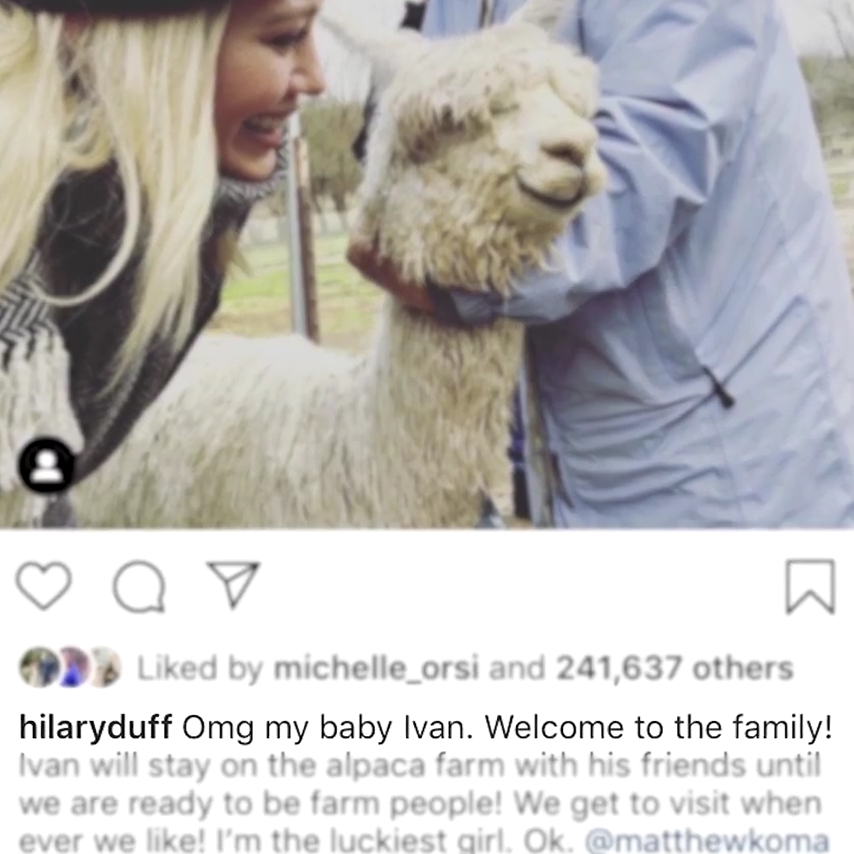 DailyDuff-dot-nl_YoungerS6-HilaryLovesAlpacas0114.jpg